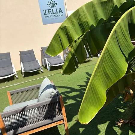 Διαμέρισμα Zelia Apartmanhaz Σίοφοκ